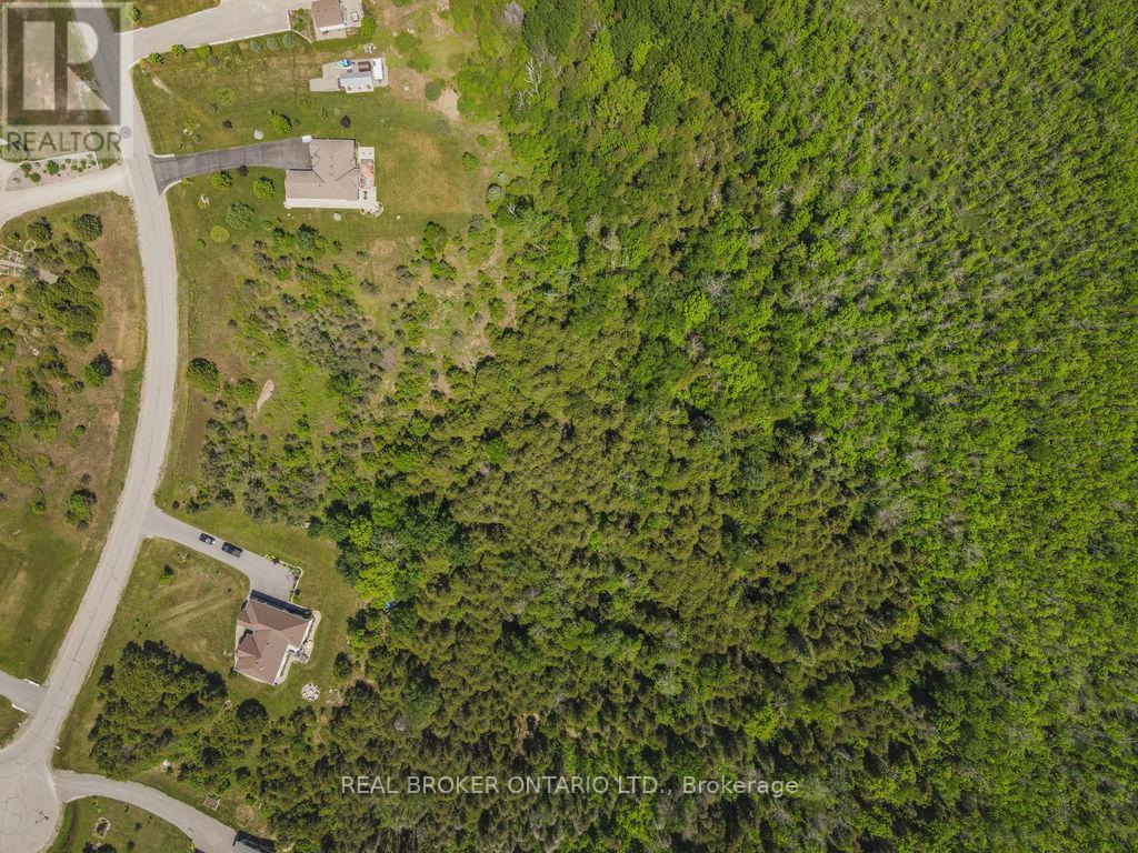 117 Colonel By Way, Merrickville-Wolford, Ontario  K0G 1N0 - Photo 6 - X12986012