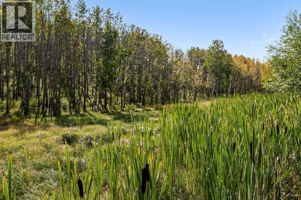 25205d Bearspaw Place, Rural Rocky View County, Alberta  T3R 1H5 - Photo 43 - A2299712