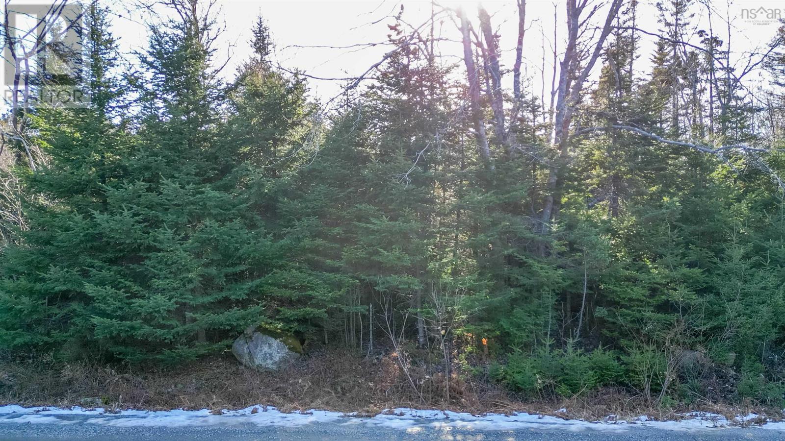 256 Shad Point Parkway, Blind Bay, Nova Scotia  B3Z 4C1 - Photo 3 - 202529781