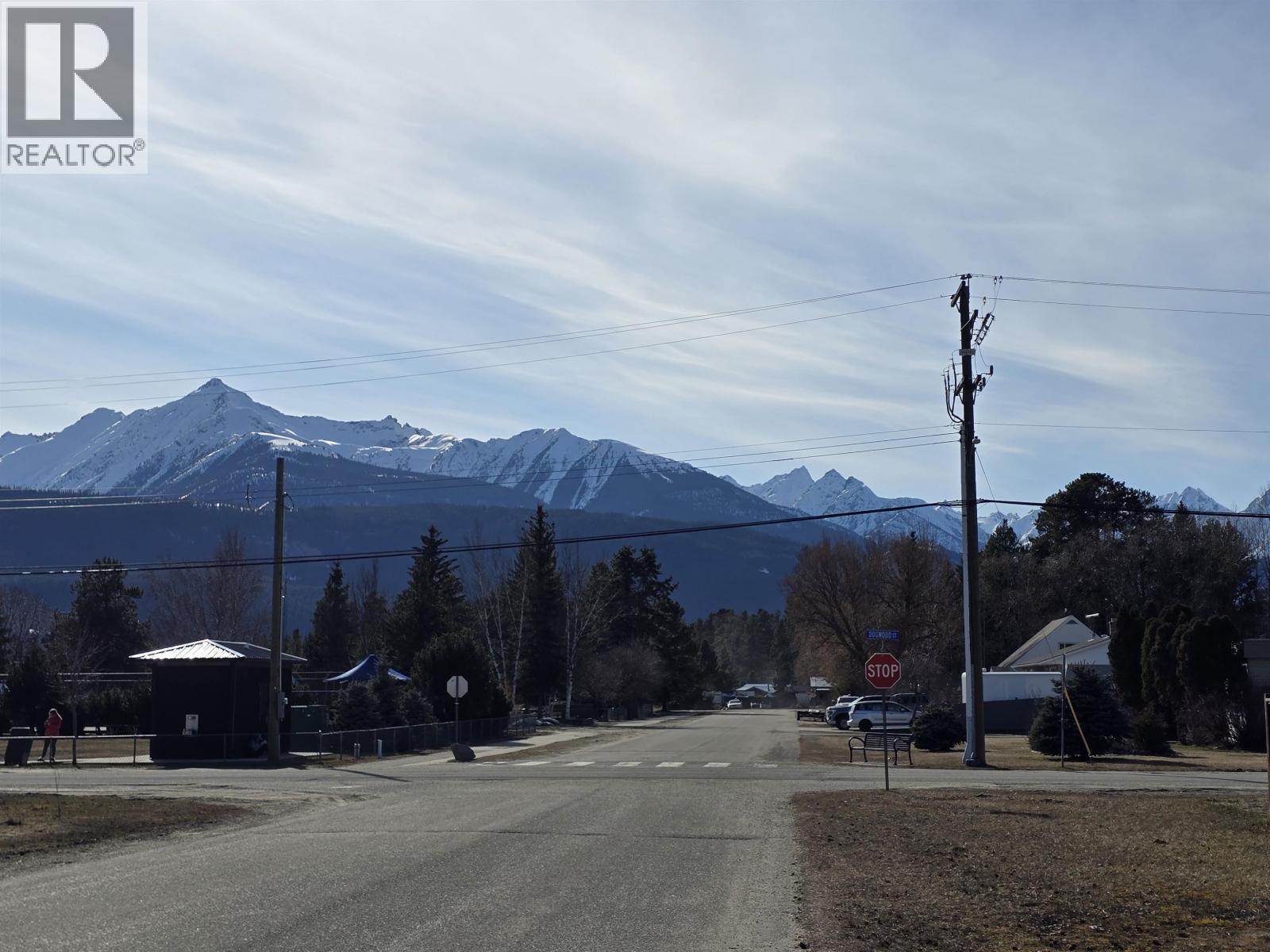 1260 4th Avenue, Valemount, British Columbia  V0E 2Z0 - Photo 3 - R3095029