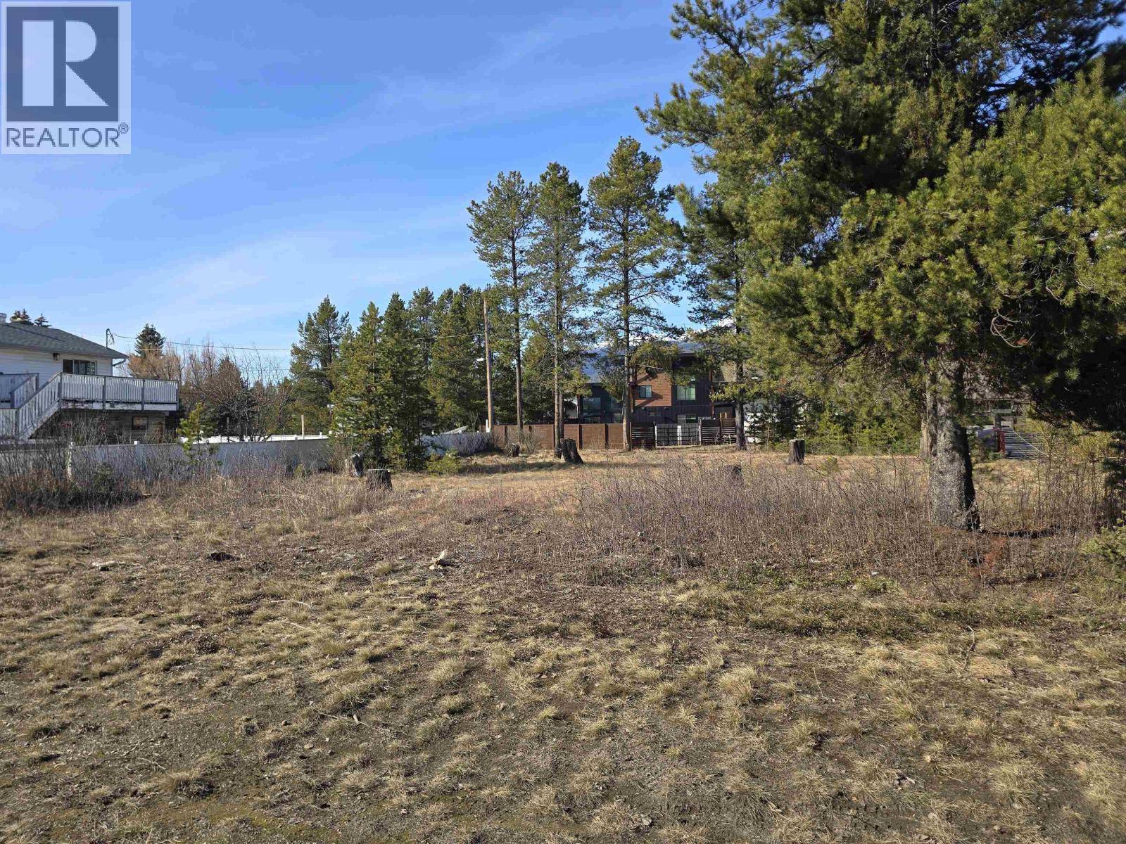 1260 4th Avenue, Valemount, British Columbia  V0E 2Z0 - Photo 4 - R3095029