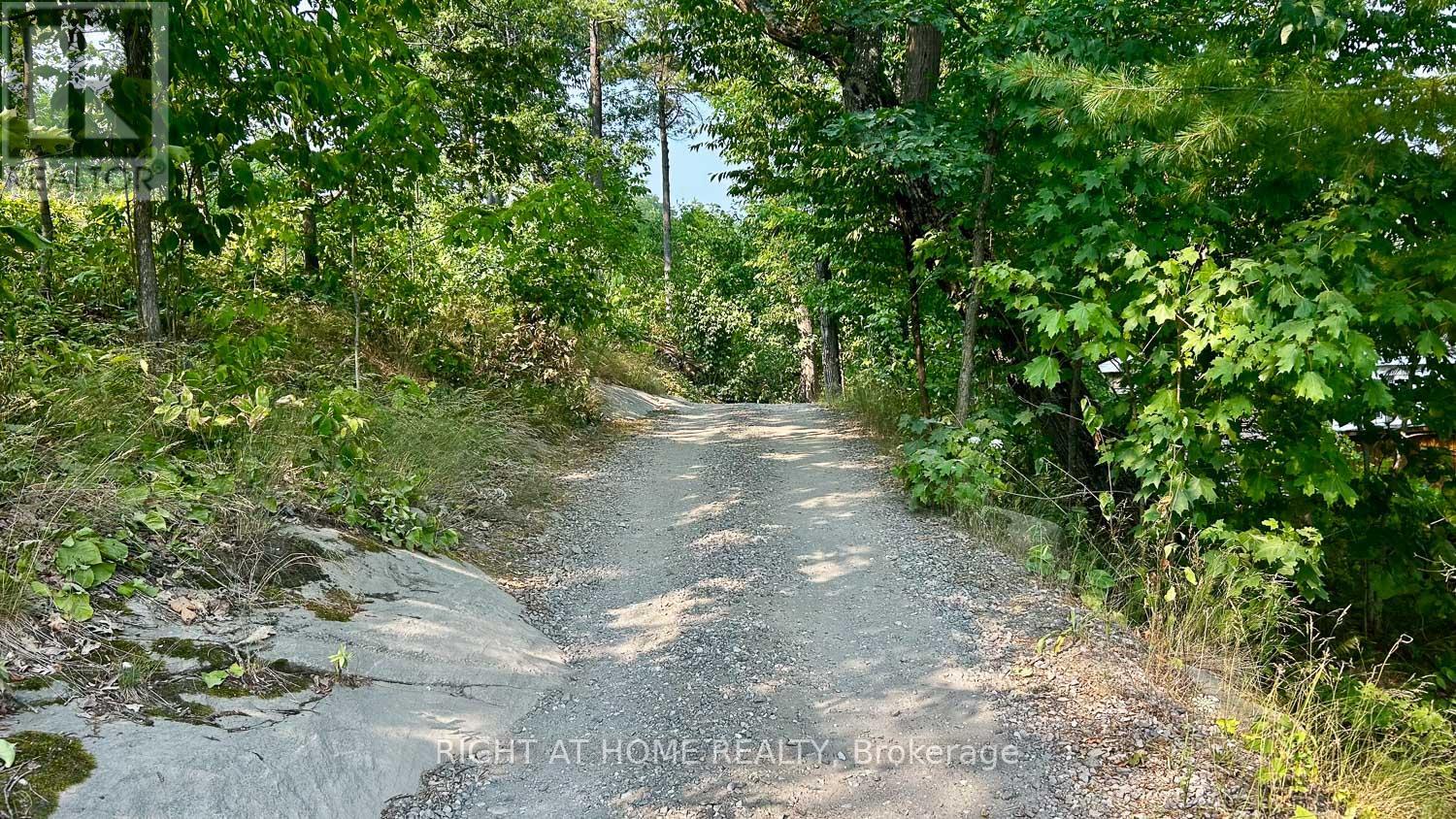 29 Maple Ridge - 1336 South Morrison Lake Road, Gravenhurst, Ontario  P0E 1G0 - Photo 41 - X12986314