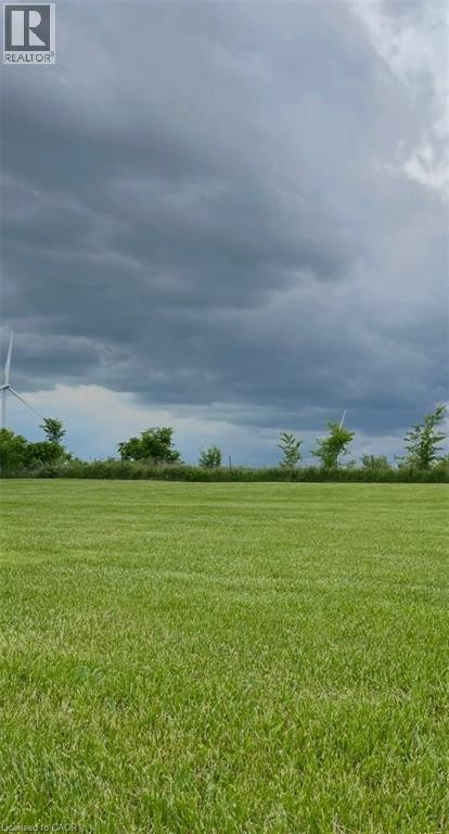 350 Concession 6 Walpole, Jarvis, Ontario  N0A 1J0 - Photo 41 - 40817734