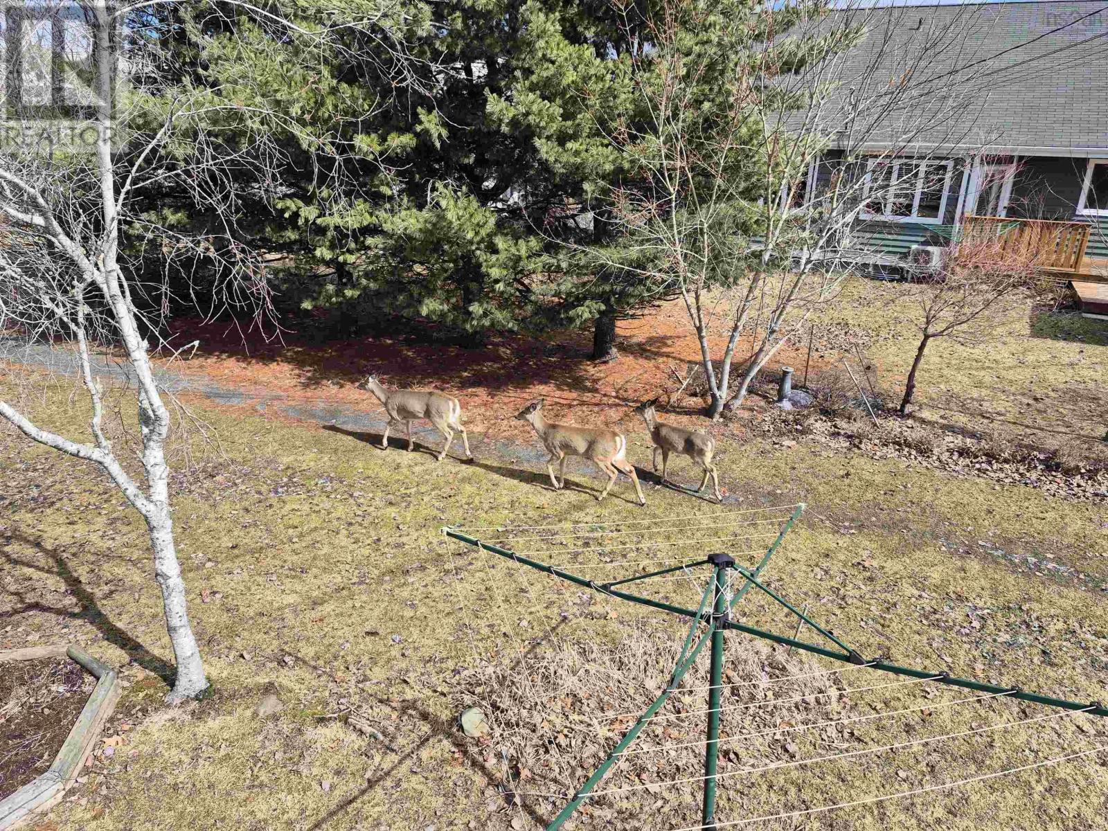 27 Wellington Court, Truro, Nova Scotia  B2N 6M9 - Photo 9 - 202602835