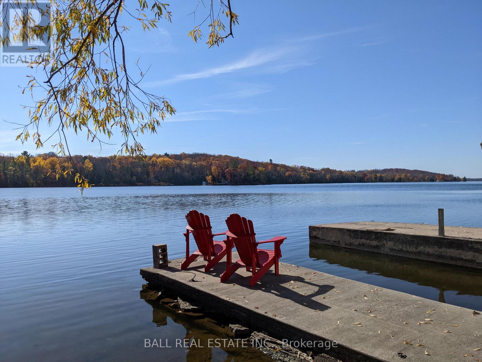 1129 Mccarthy's Point Road, Asphodel-Norwood, Ontario  K0L 1Y0 - Photo 42 - X12976038