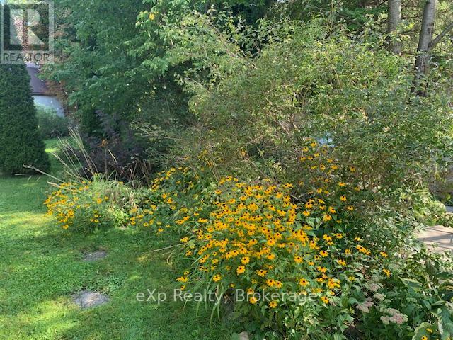 145 3rd Avenue Se, Arran-Elderslie, Ontario  N0G 1L0 - Photo 31 - X12986414