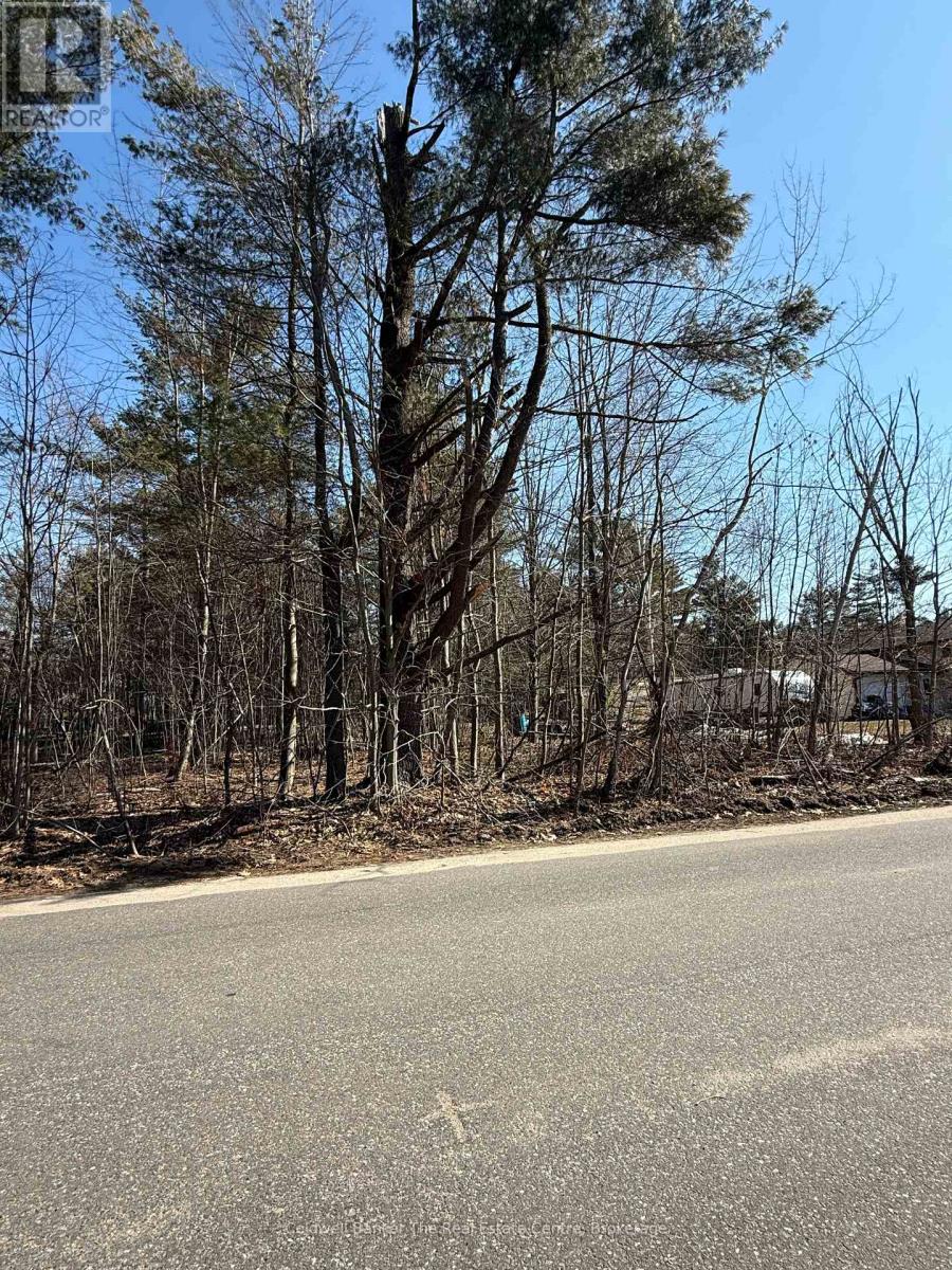 Vacant Lot Pinedale Road, Gravenhurst, Ontario  P1P 1L5 - Photo 3 - X12986450