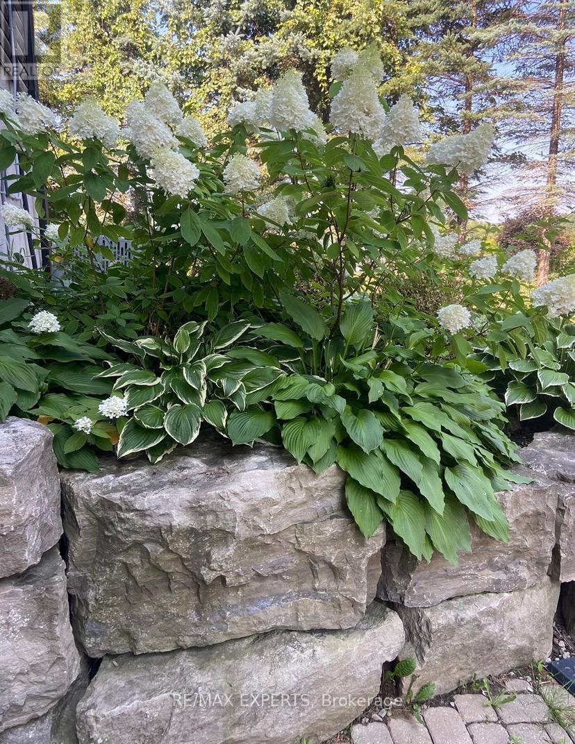 15481 Mount Wolfe Road, Caledon, Ontario  L7E 3P3 - Photo 43 - W12857848