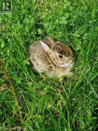 5530 Glen Erin Drive Unit# 28, Mississauga, Ontario  L5M 6E8 - Photo 45 - 40819563