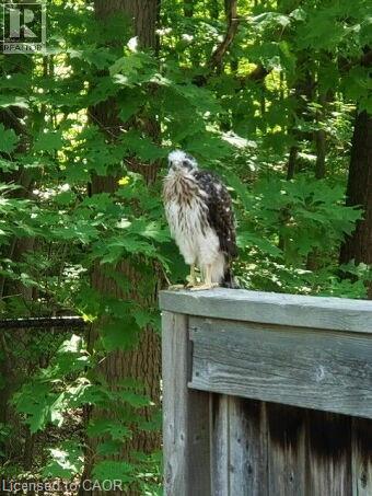 5530 Glen Erin Drive Unit# 28, Mississauga, Ontario  L5M 6E8 - Photo 46 - 40819563