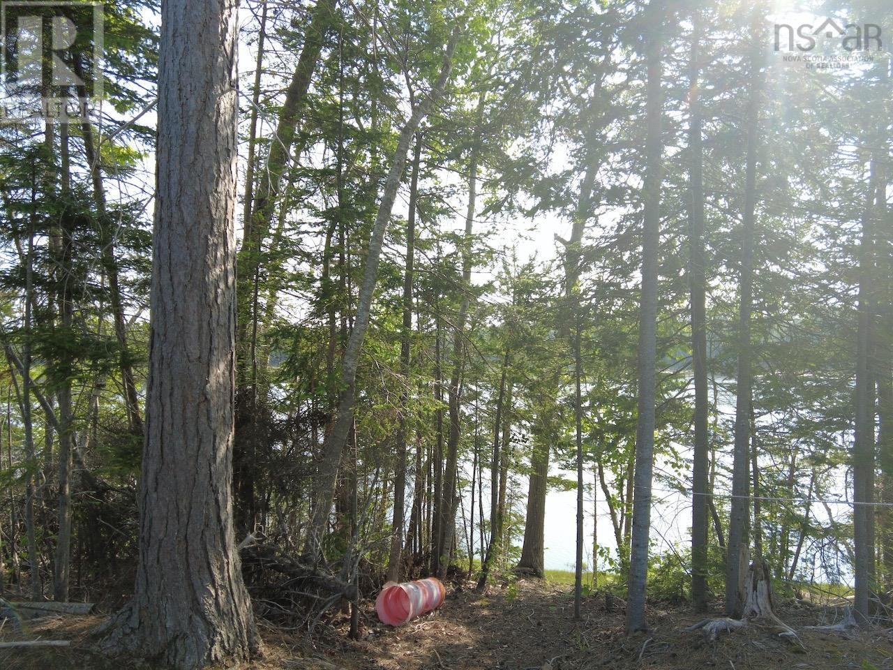 321 Lot 2010 1 And 2 Highway, Rockley, Nova Scotia  B0K 1K0 - Photo 26 - 202607083