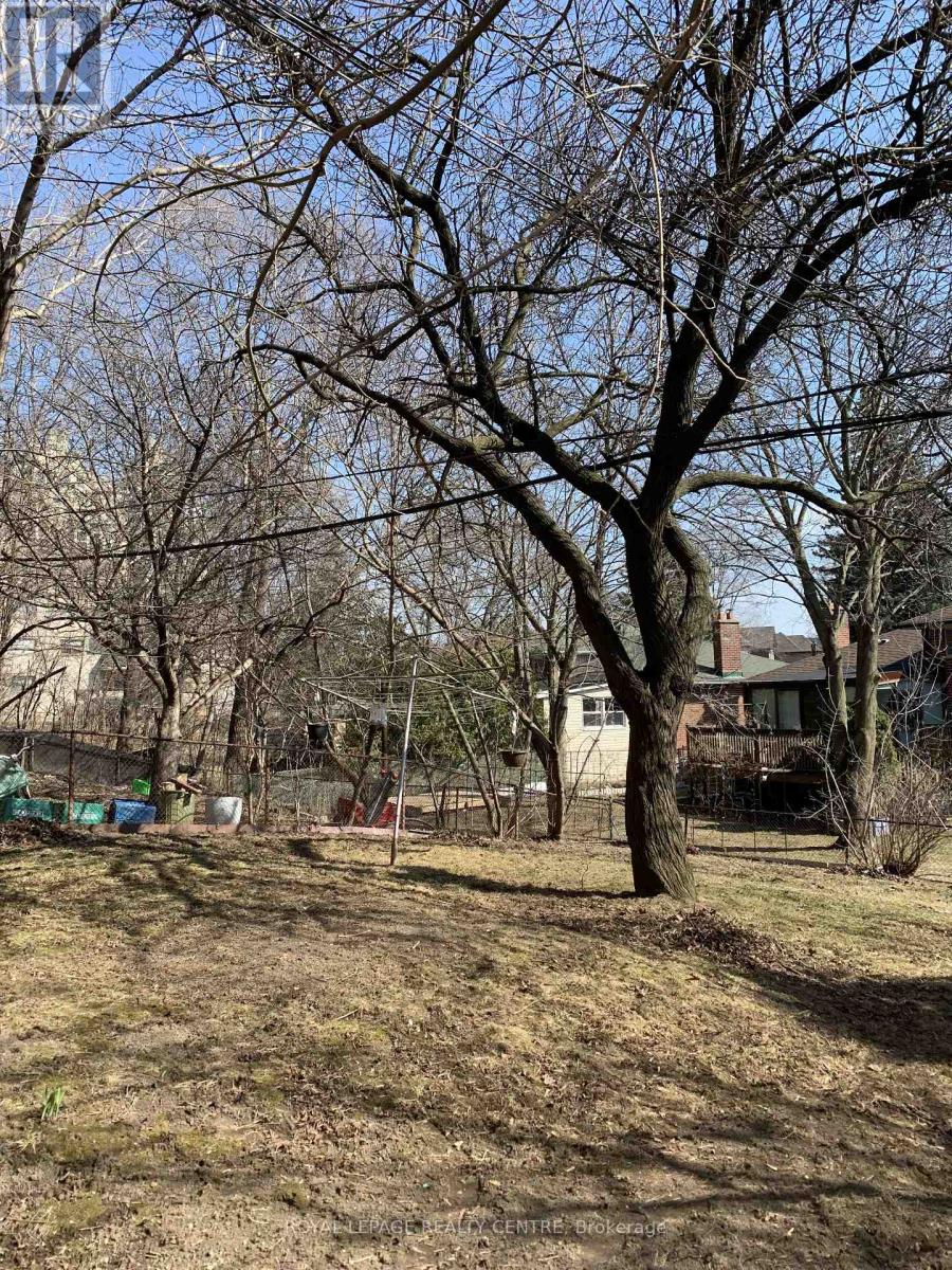 Unit 3 - 339 Sheppard Avenue E, Toronto, Ontario  M2N 3B3 - Photo 34 - C12986506