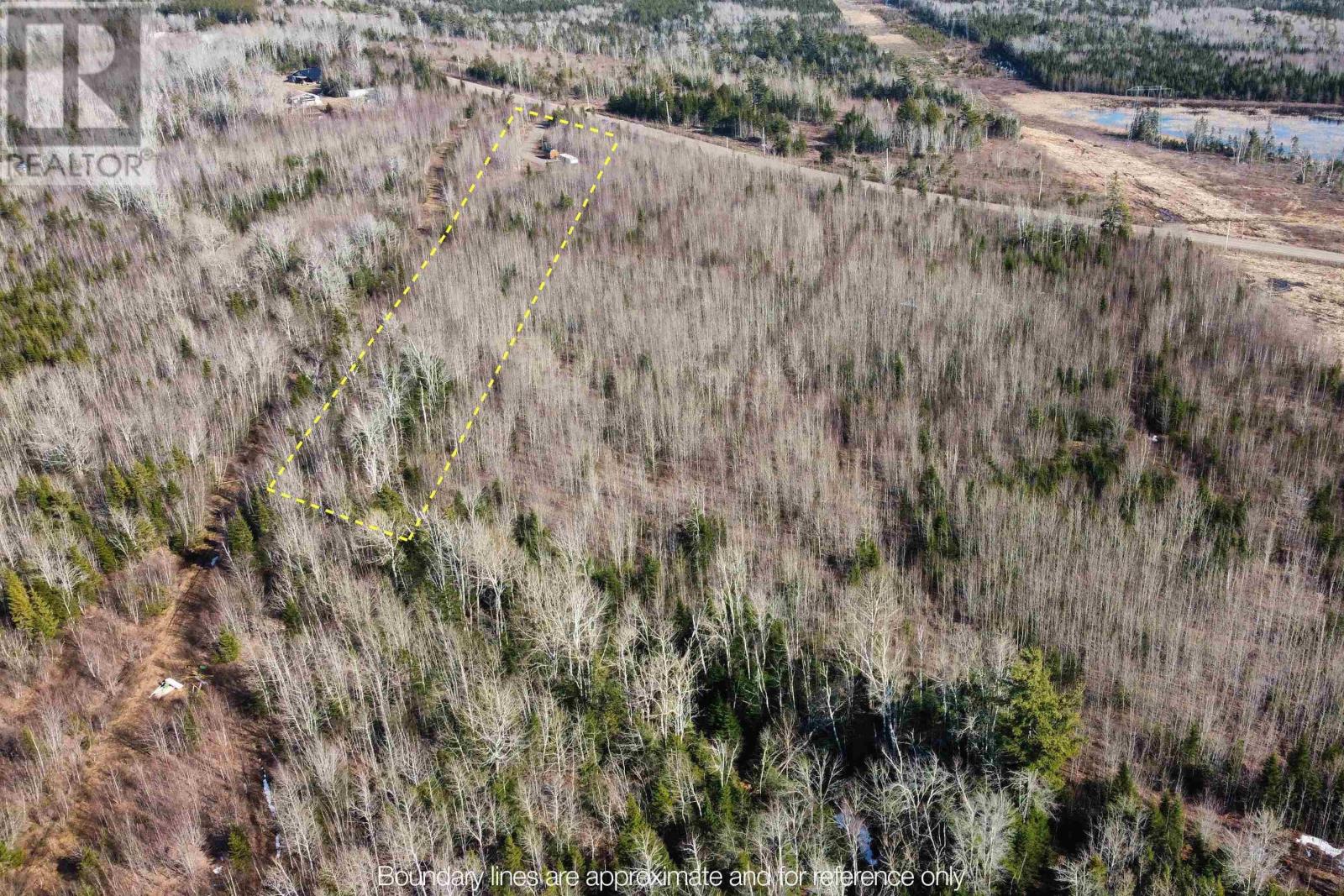 6617 Highway 321, Roslin, Nova Scotia  B0K 1K0 - Photo 31 - 202607052