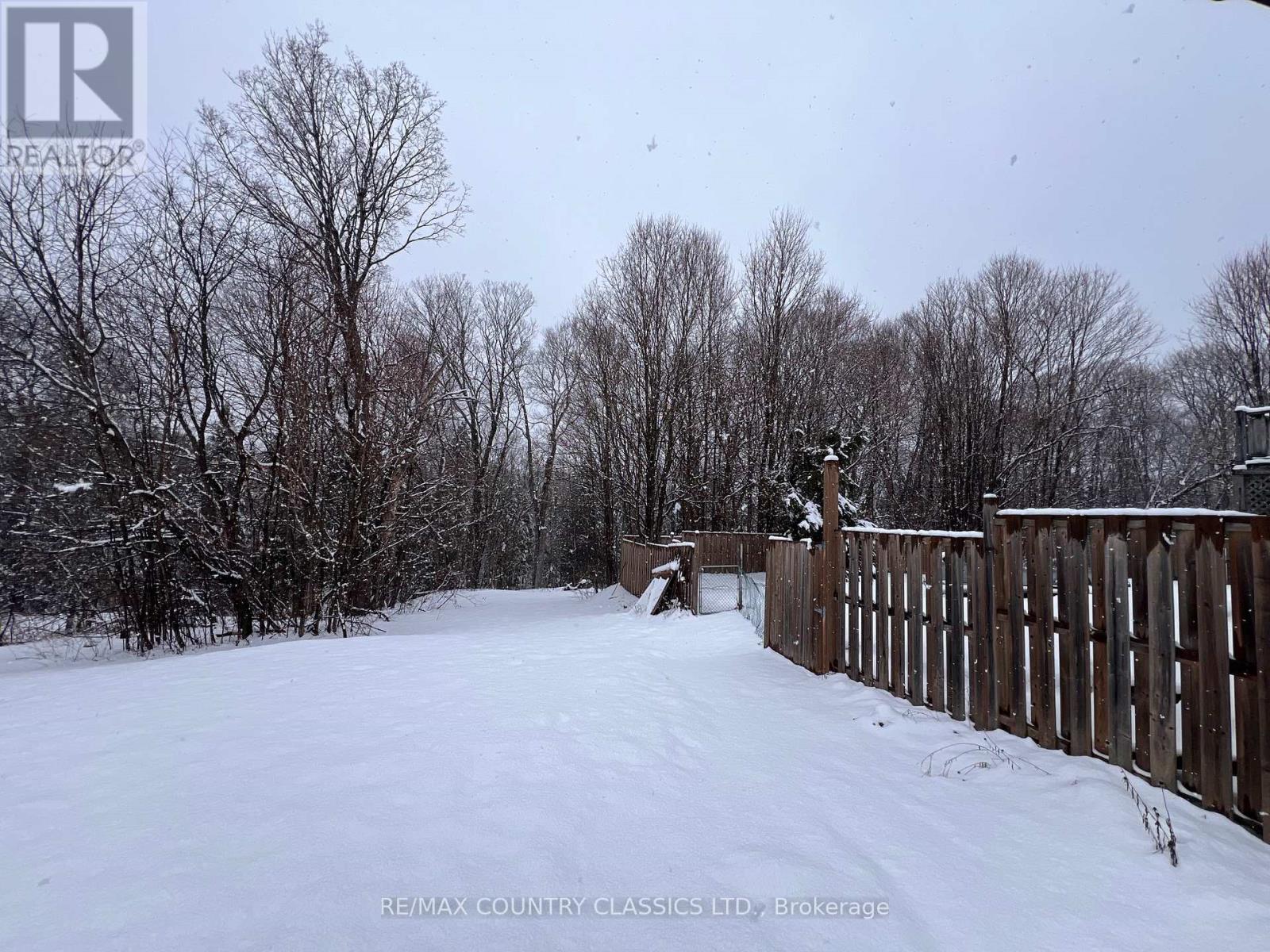 33109 Hwy 62 North, Hastings Highlands, Ontario  K0L 2S0 - Photo 31 - X12819450