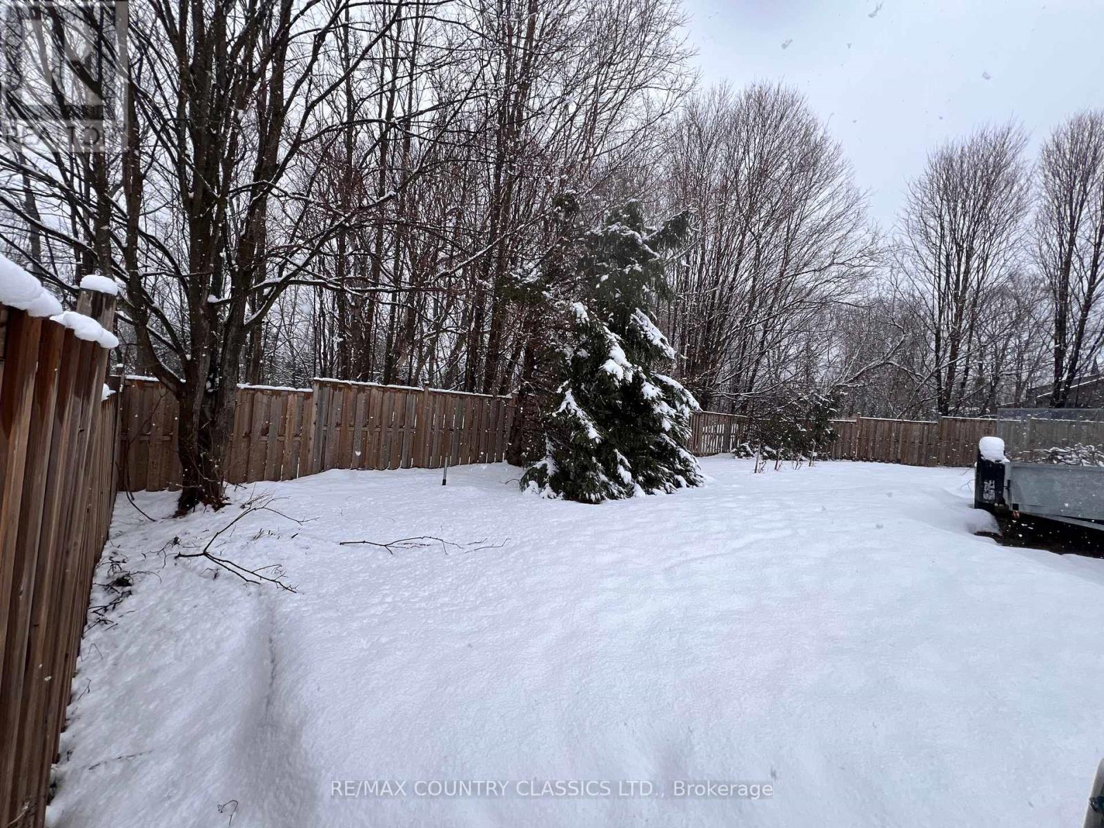 33109 Hwy 62 North, Hastings Highlands, Ontario  K0L 2S0 - Photo 33 - X12819450