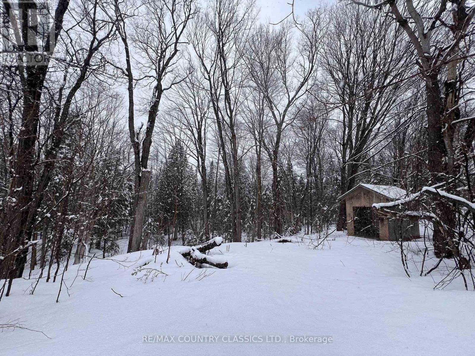 33109 Hwy 62 North, Hastings Highlands, Ontario  K0L 2S0 - Photo 34 - X12819450