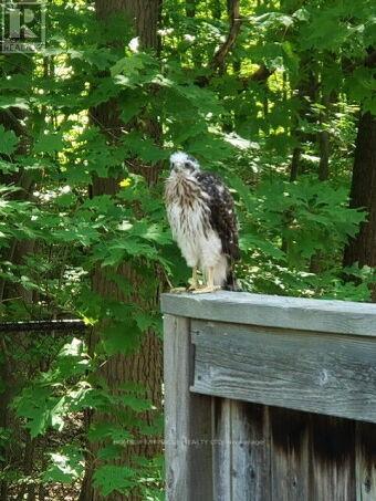 28 - 5530 Glen Erin Drive, Mississauga, Ontario  L5M 6E8 - Photo 46 - W12986560