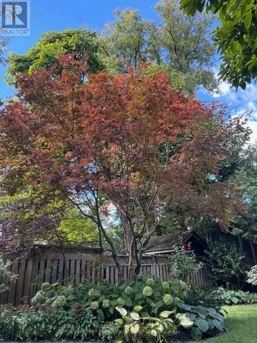 520 Briar Hill Avenue, Toronto, Ontario  M5N 1M9 - Photo 31 - C12986640