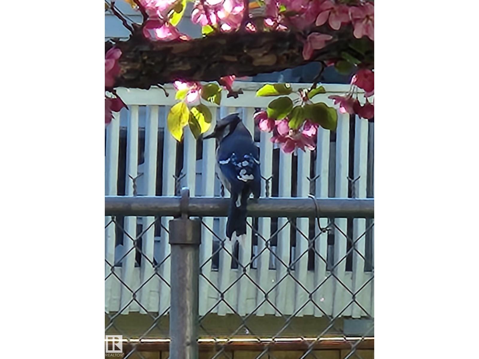 18285 84 Av Nw, Edmonton, Alberta  T5T 1T7 - Photo 21 - E4474850