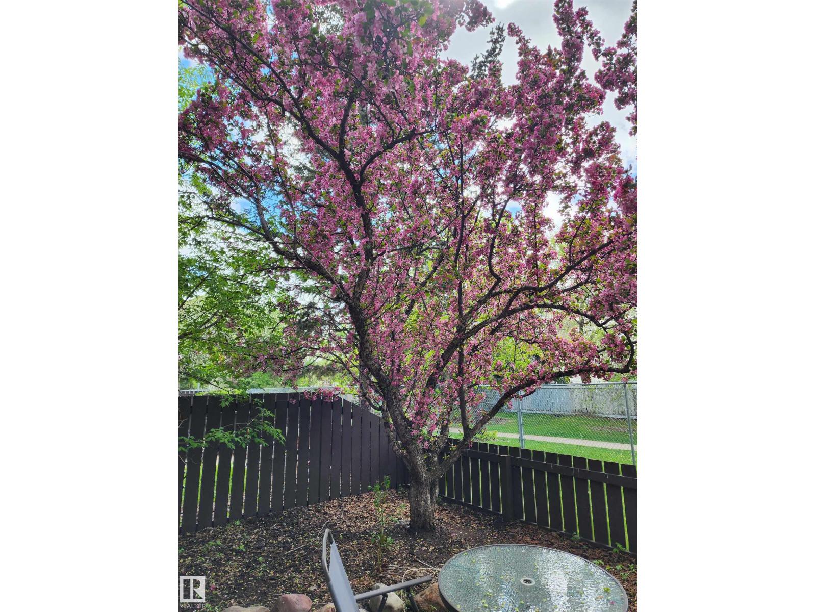 18285 84 Av Nw, Edmonton, Alberta  T5T 1T7 - Photo 20 - E4474850