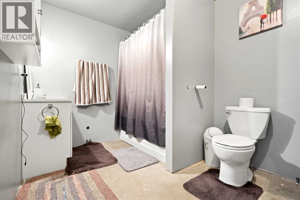 95012 Range Road 105, Rural Forty Mile No. 8, Alberta  T0K 0G0 - Photo 49 - A2299179