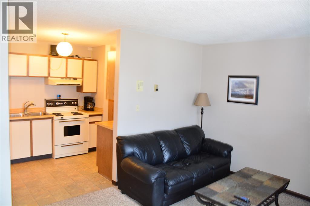 101-215, 10118 100 Avenue, Peace River, Alberta  T8S 1R3 - Photo 21 - A2264118