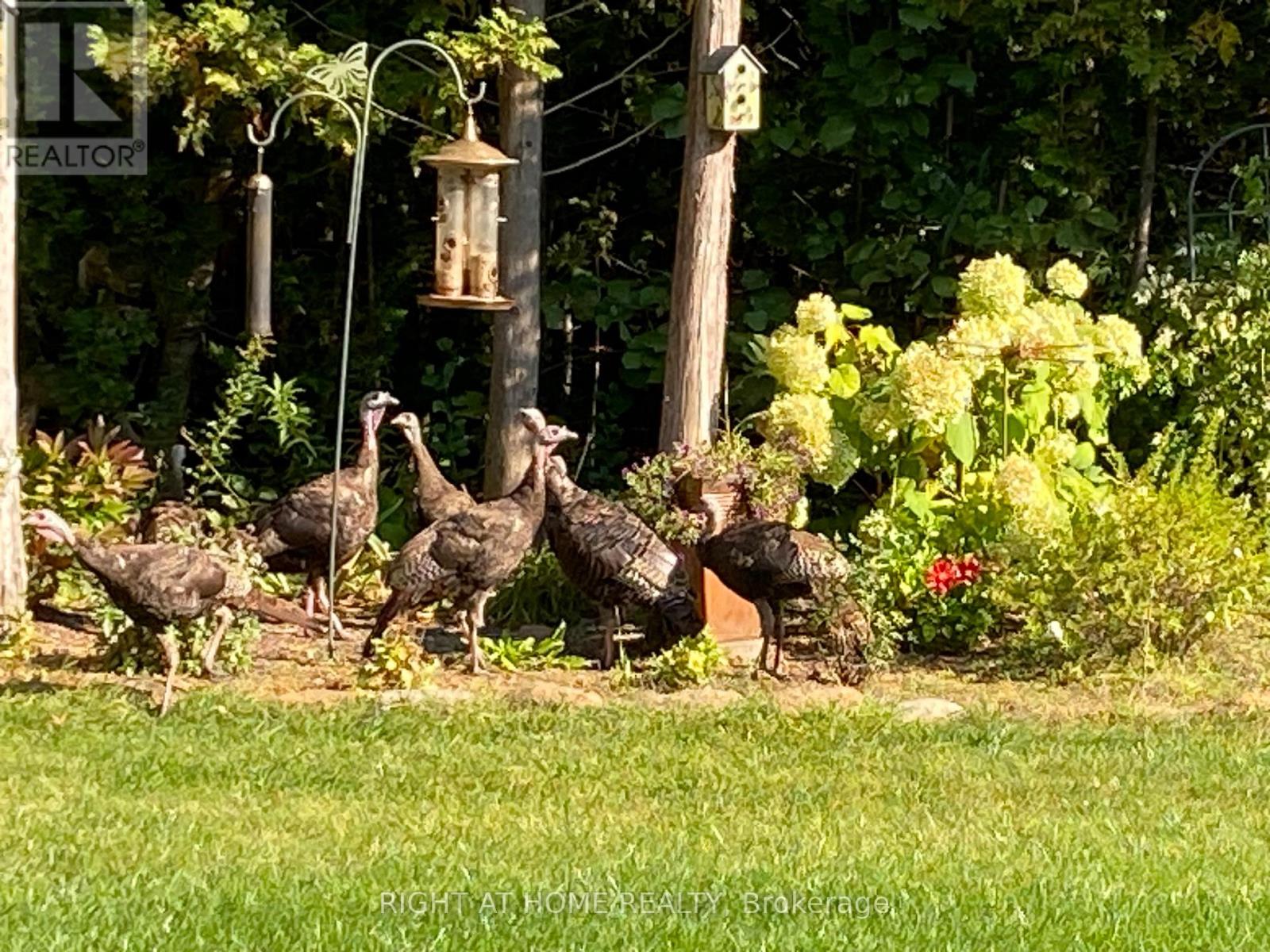 216 Mount Horeb Road, Kawartha Lakes, Ontario  K9V 4R4 - Photo 43 - X12986712