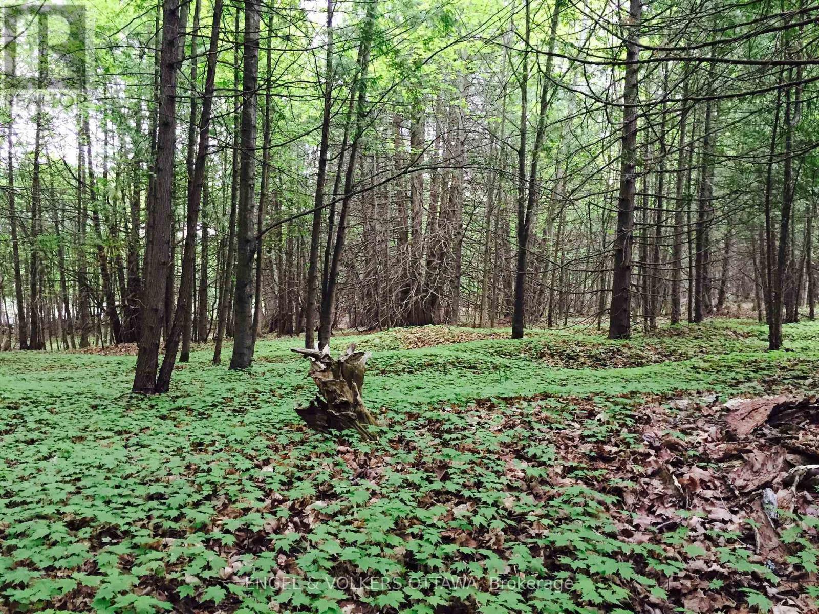 4637 Northwoods Drive, Ottawa, Ontario  K0A 3M0 - Photo 46 - X12986764