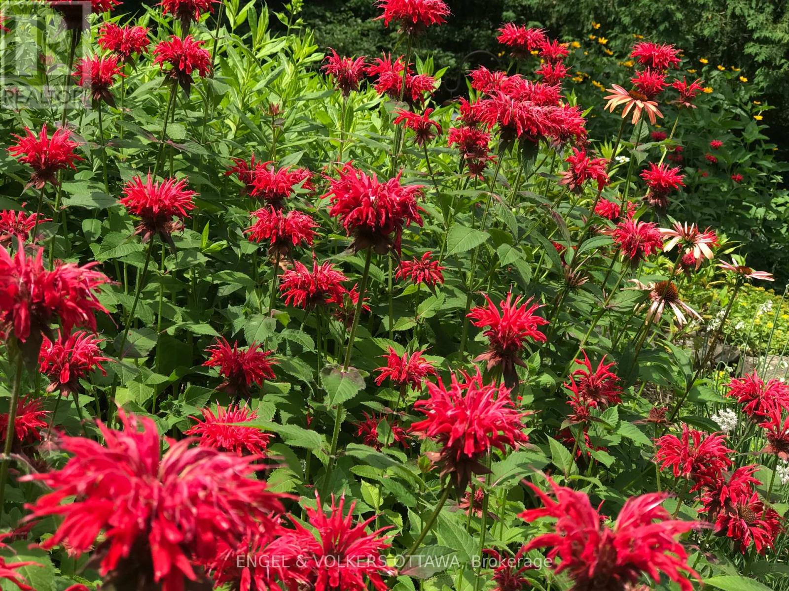 4637 Northwoods Drive, Ottawa, Ontario  K0A 3M0 - Photo 47 - X12986764