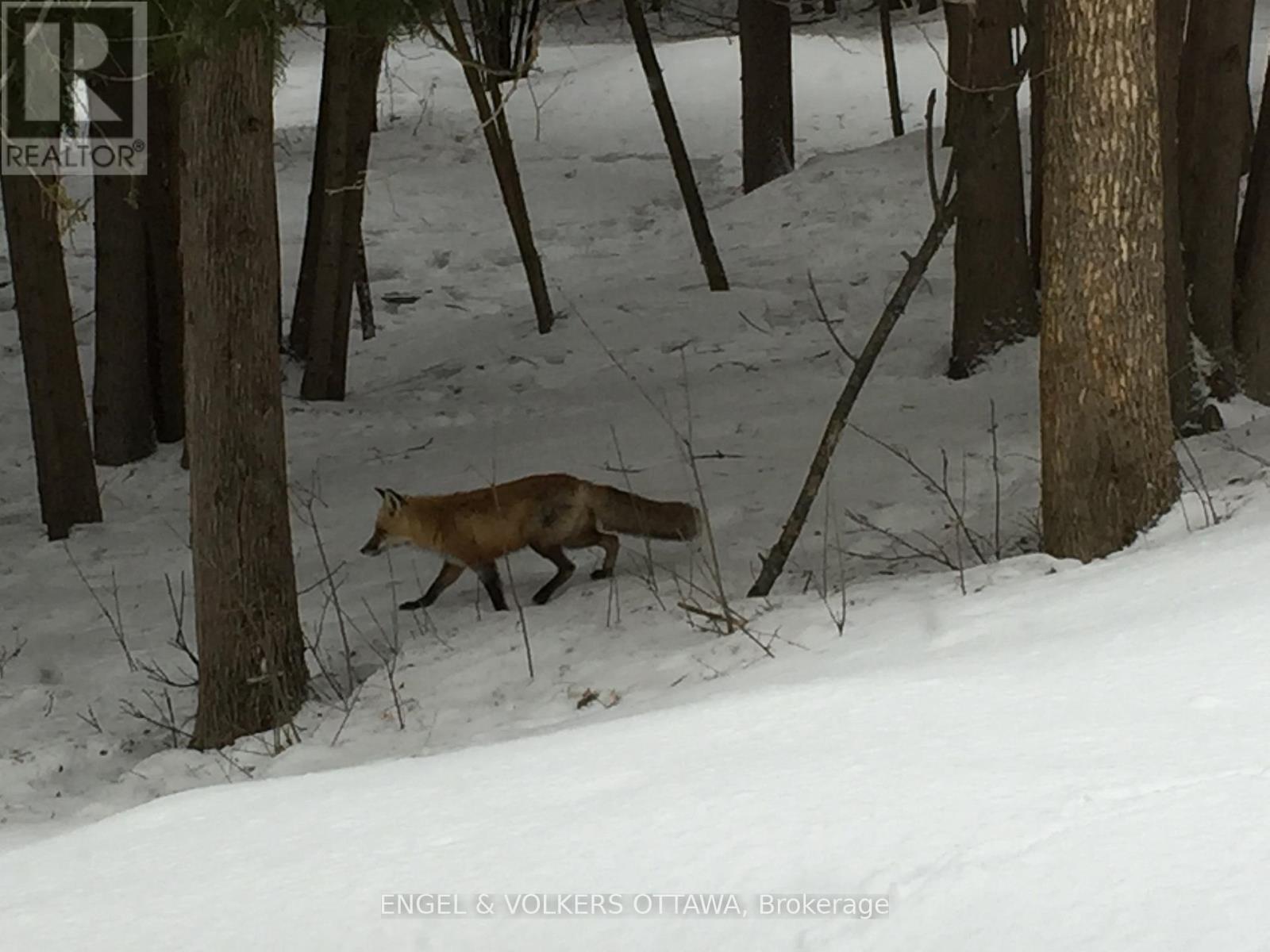 4637 Northwoods Drive, Ottawa, Ontario  K0A 3M0 - Photo 49 - X12986764