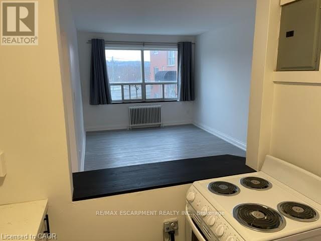 211 - 37 Mericourt Road, Hamilton (Ainslie Wood), Ontario  L8S 2N5 - Photo 6 - X12986756