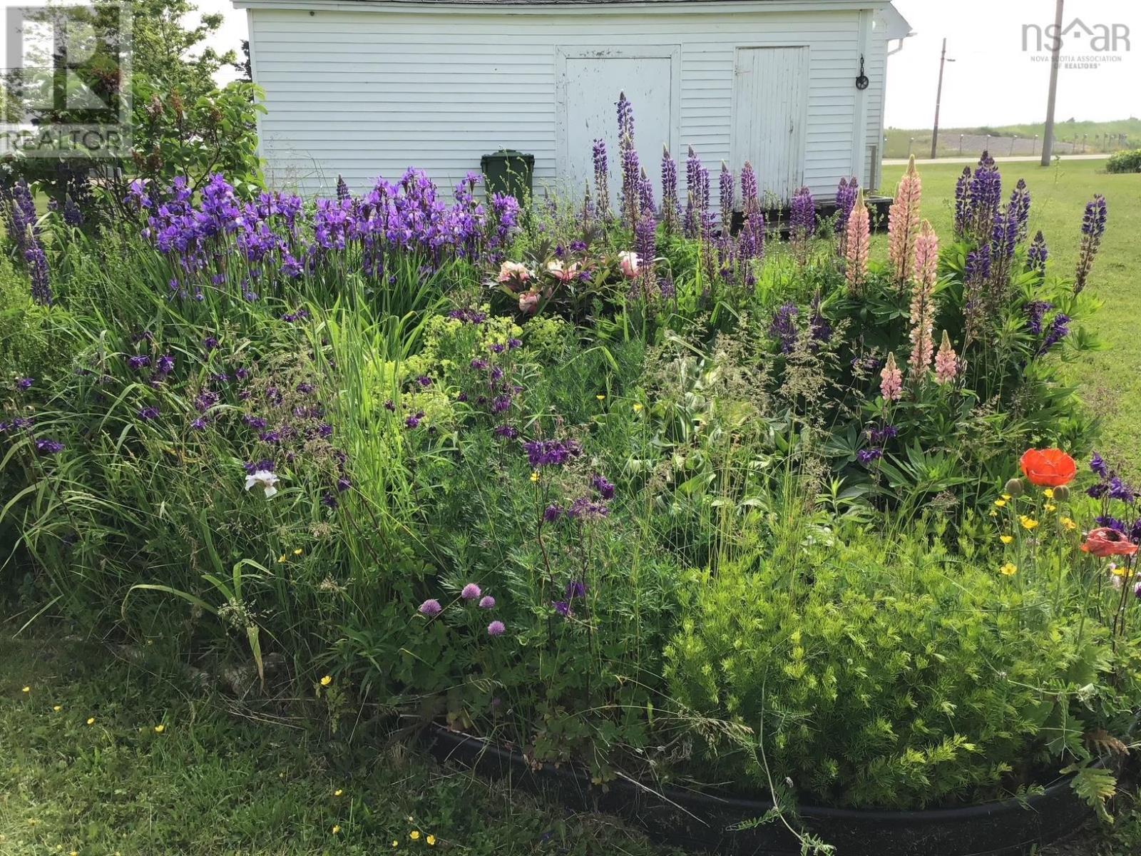 3685 Highway 209, Advocate Harbour, Nova Scotia  B0M 1A0 - Photo 9 - 202604698