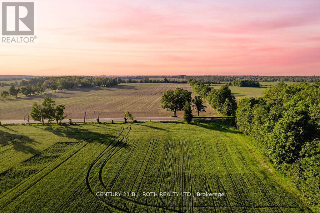 Lt 14 9th Line, Innisfil, Ontario  L9S 3Z3 - Photo 5 - N12986934
