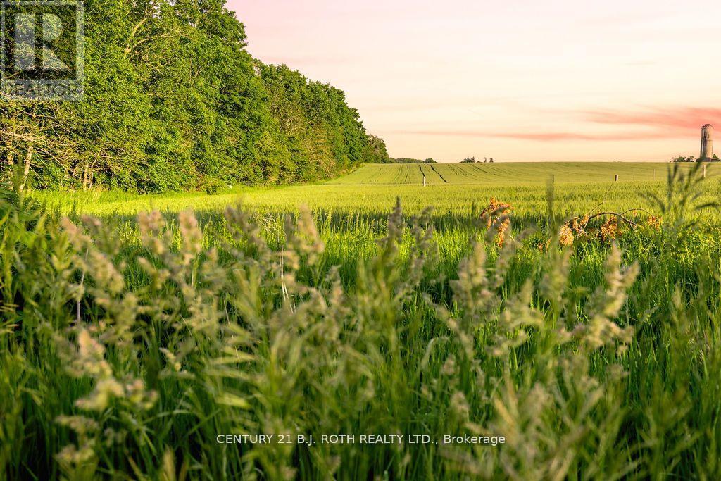 Lt 14 9th Line, Innisfil, Ontario  L9S 3Z3 - Photo 7 - N12986934