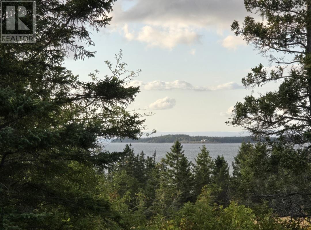 No 4 Highway, Soldiers Cove, Nova Scotia  B0E 3B0 - Photo 2 - 202607087