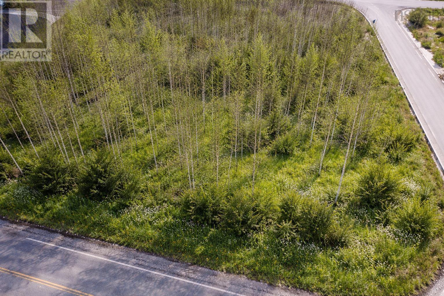 Lot 11 Pine Grove Road, Pine Grove, Nova Scotia  B0J 1E0 - Photo 2 - 202604177