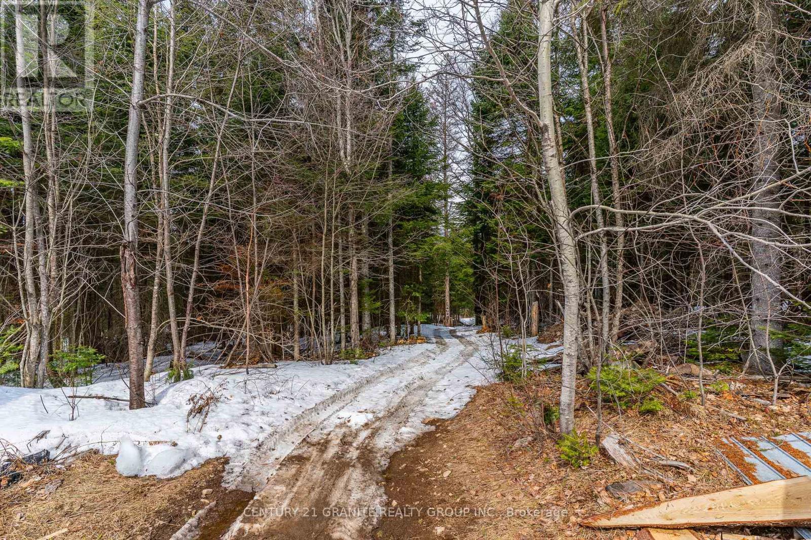 818 Williams Lake Road, Hastings Highlands, Ontario  K0L 1C0 - Photo 37 - X12986806