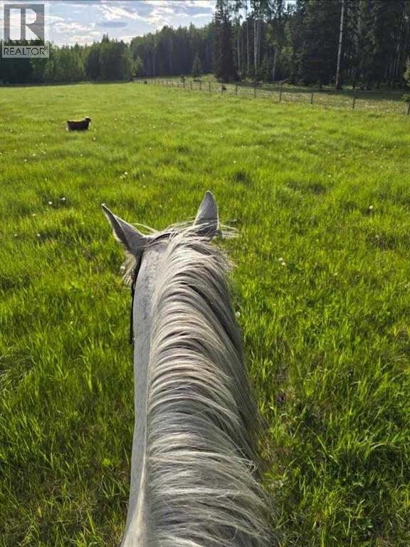55111 Range Road 160a, Rural Yellowhead County, Alberta  T7E 3P5 - Photo 45 - A2299120