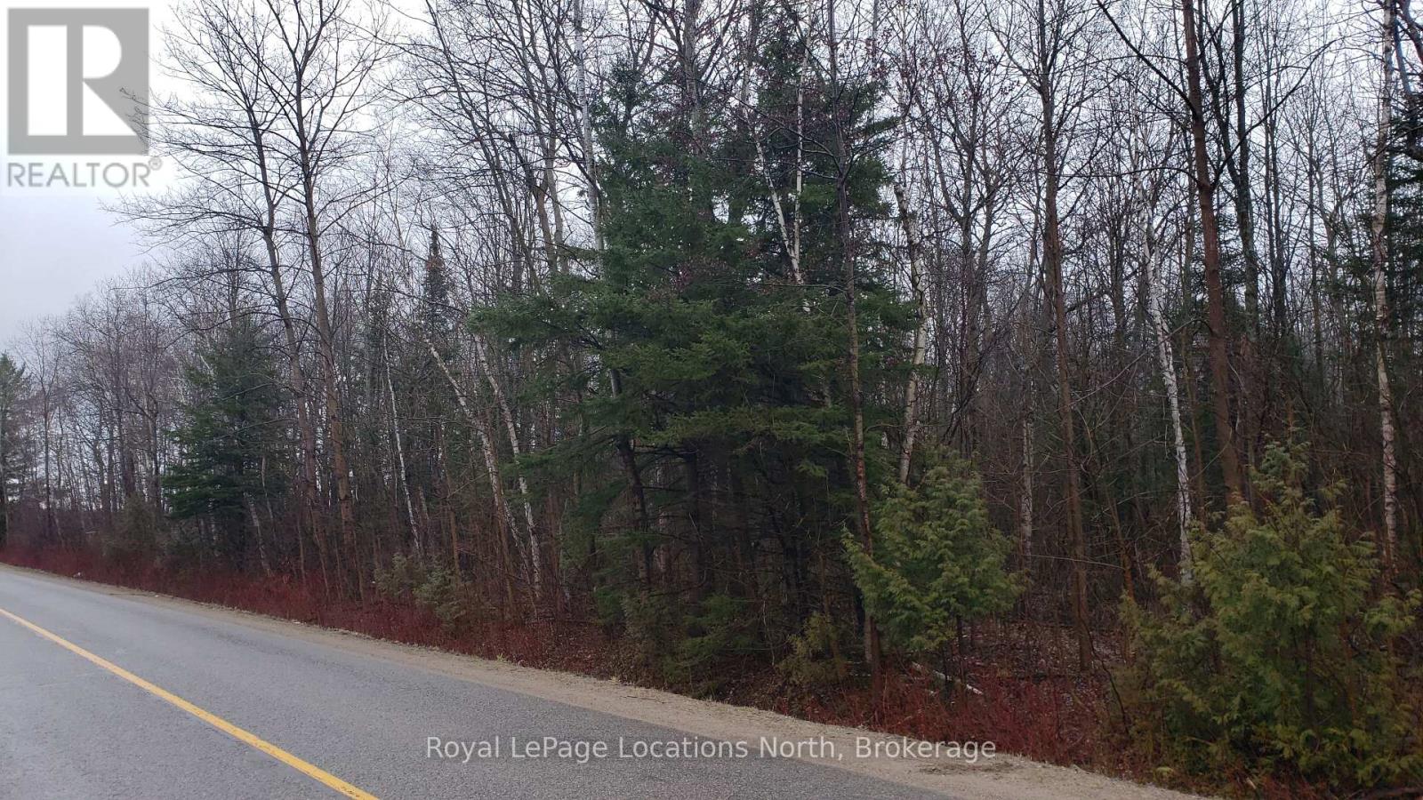 6125 Second Concession Road, Clearview, Ontario  L0N 1P0 - Photo 4 - S12986958