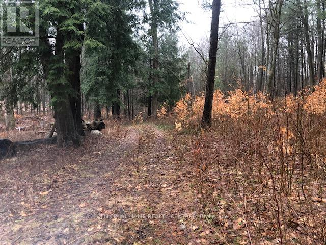 5055 Cherry Street, Whitchurch-Stouffville, Ontario  L4A 3K9 - Photo 7 - N12986936