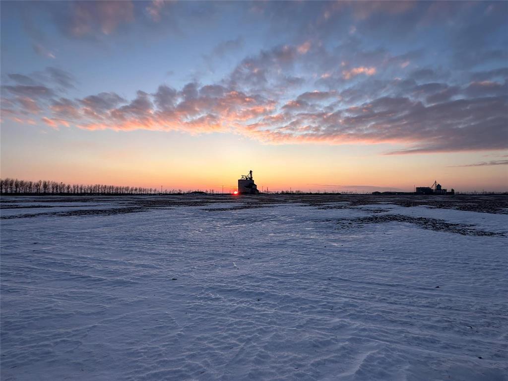 13 Fossay Street, Elie, Manitoba  R0H 0H0 - Photo 41 - 202606954