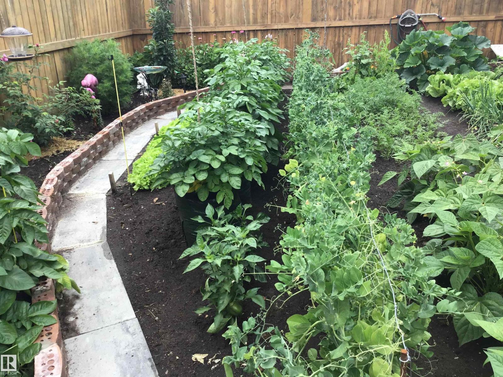 4914 47 St, Redwater, Alberta  T0A 2W0 - Photo 3 - E4474574