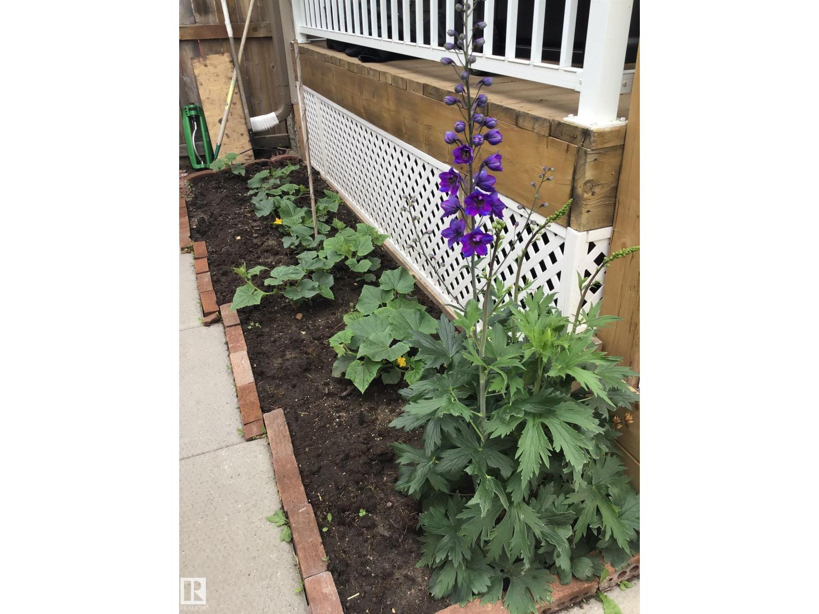 4914 47 St, Redwater, Alberta  T0A 2W0 - Photo 46 - E4474574