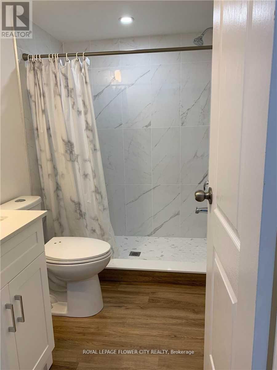 Legal Basement - 7227 Para Place, Mississauga, Ontario  L5W 1K4 - Photo 17 - W12986978