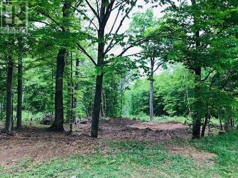 879 Stephenson Road E, Huntsville, Ontario  P0B 1L0 - Photo 45 - X12987056