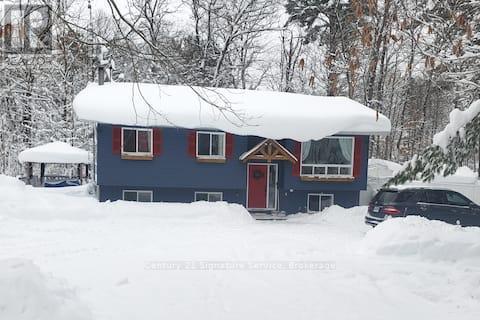 879 Stephenson Road E, Huntsville, Ontario  P0B 1L0 - Photo 6 - X12987056