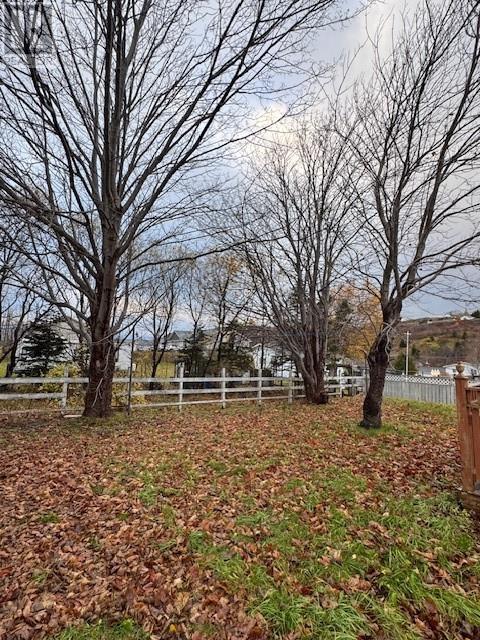 12 Cabot Street, Harbour Grace, Newfoundland & Labrador  A0A 2N0 - Photo 3 - 1295185