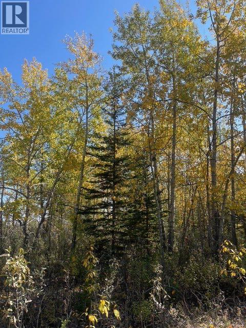 48107 233 Avenue East, Rural Foothills County, Alberta  T1S 4B1 - Photo 13 - A2286464