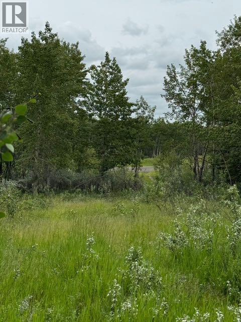 48107 233 Avenue East, Rural Foothills County, Alberta  T1S 4B1 - Photo 4 - A2286464