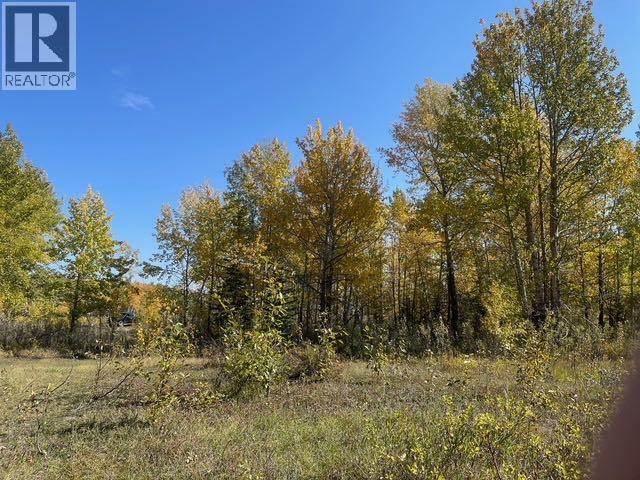 48107 233 Avenue East, Rural Foothills County, Alberta  T1S 4B1 - Photo 14 - A2286464